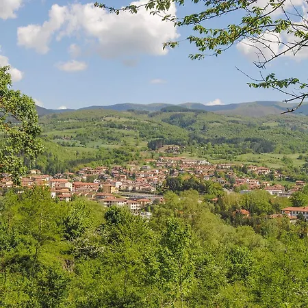 Amazing In Nyaraló